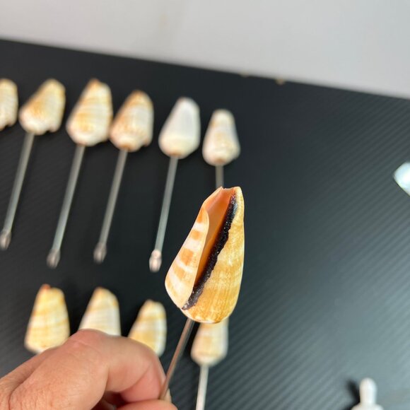 Set Of 12 Natural Seashell Cocktail Skewers MCM Silver Tone Metal Appetizer - Picture 7 of 12